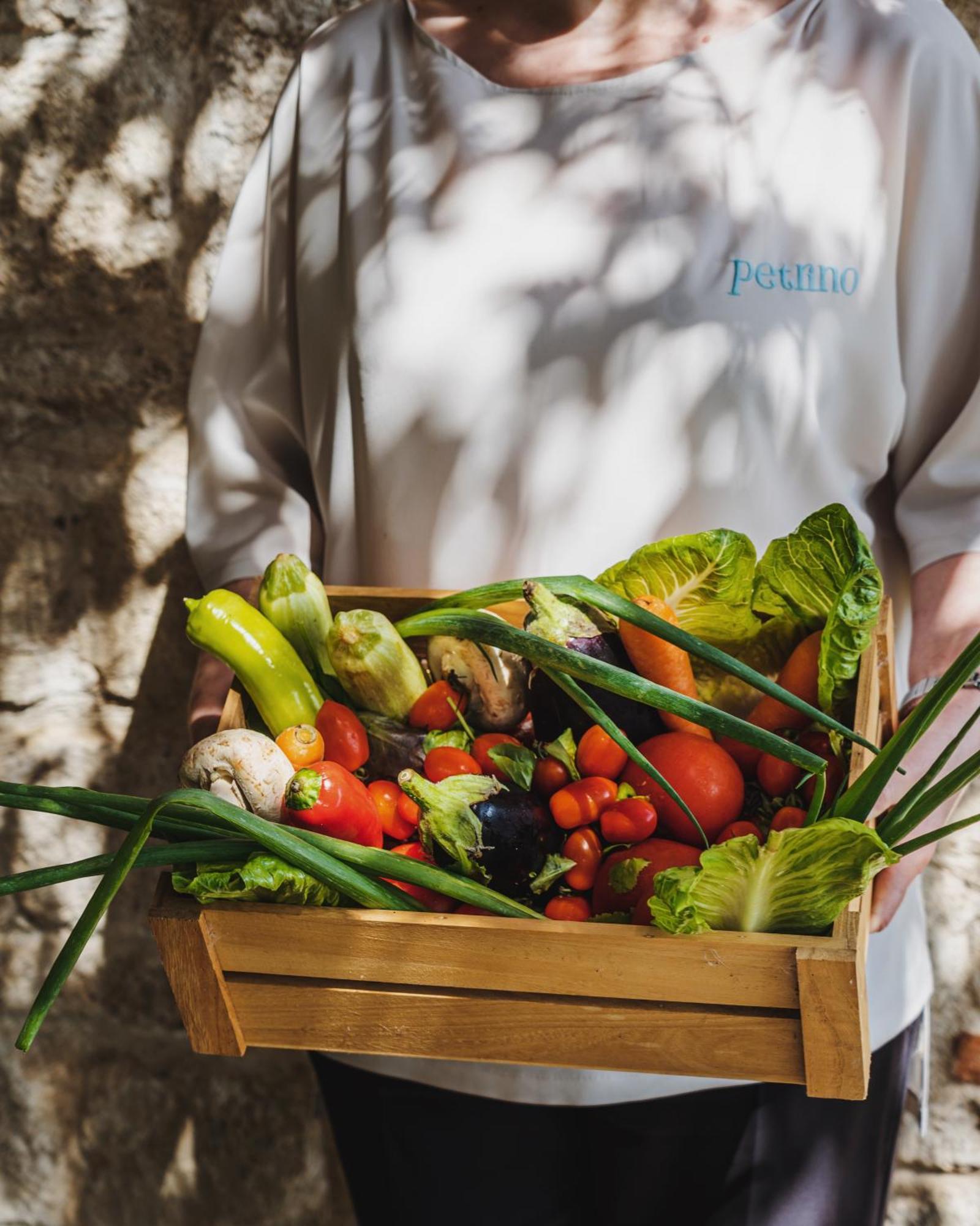 Petrino Eco Village Άφυτος Εξωτερικό φωτογραφία